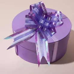 Conjunto 10 Laço Fácil para Presente Lacinhos Decoração Presente Festa Laço de Puxar Filete Mágico
