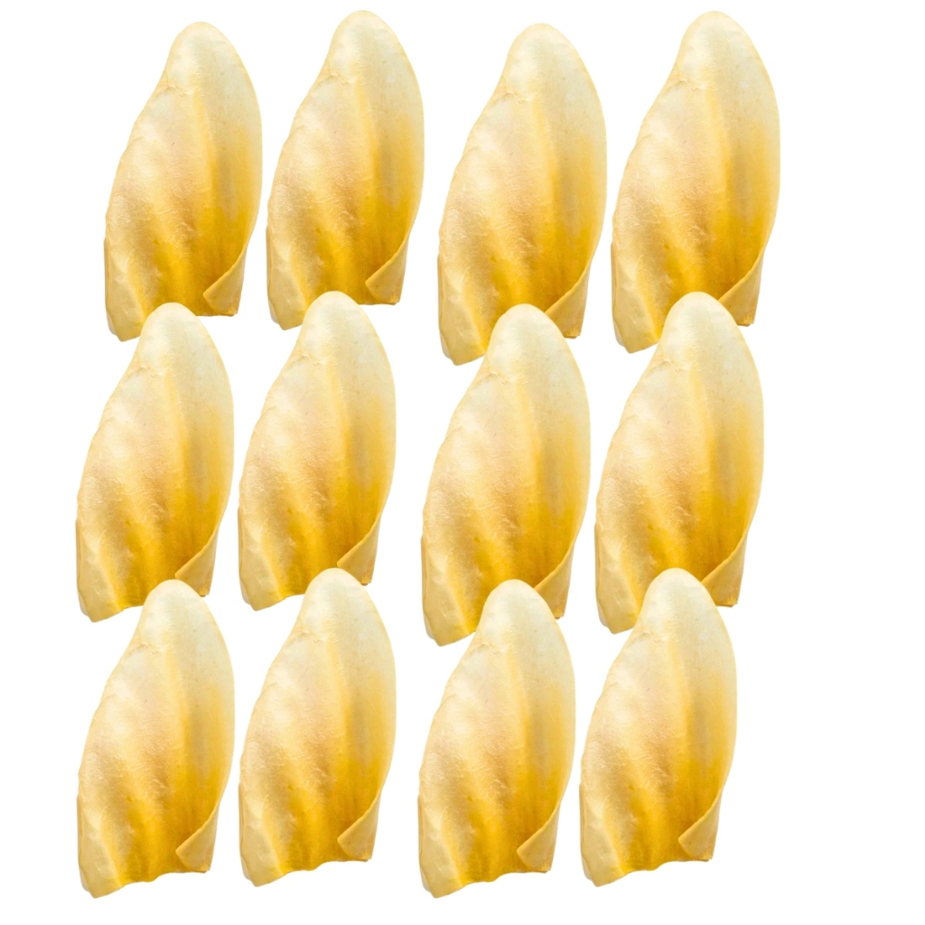 Kit 12 Petisco Natural Orelha Bovina Desidratada  Para Cachorro  Dip Dog