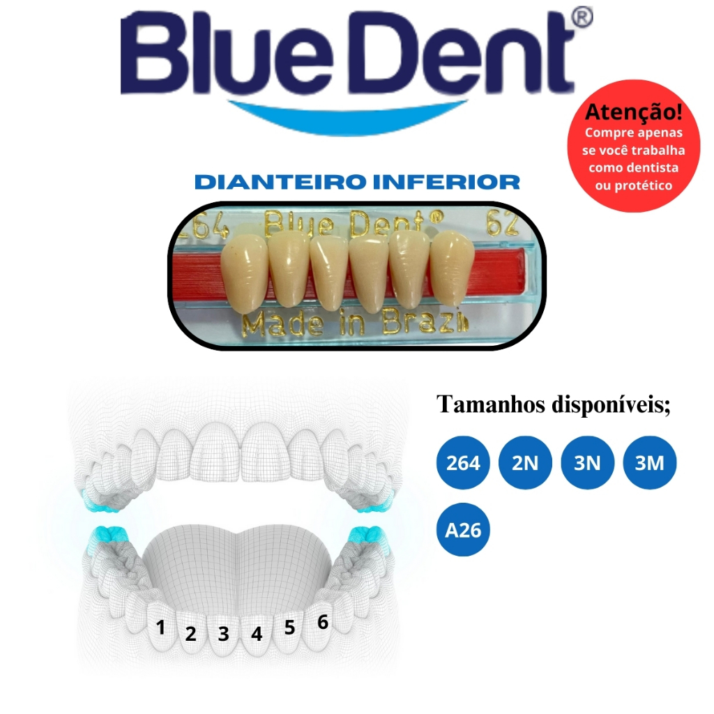 Acrilico P/ Prótese Pivo Anterior Inferior Bluedent Anvisa