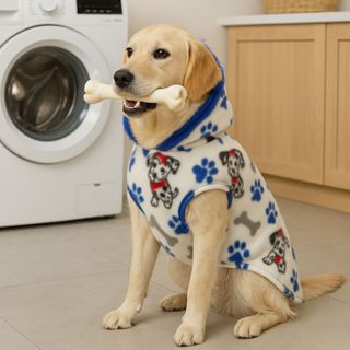 Roupinhas Soft Para Cachorro Pet Pequeno Porte a Grande Porte (quentinha e confortável) em Oferta na Shopee