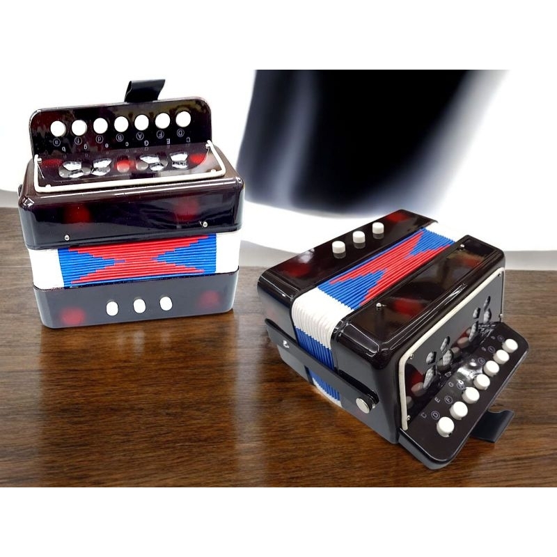 Sanfona Acordeon Semiprofissional Infantil