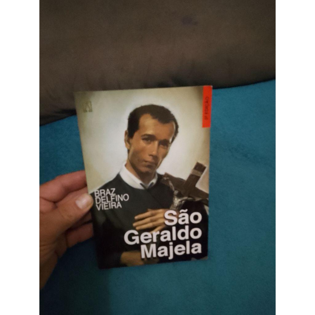 LIVRO, SÃO GERALDO MAJELA, BRAZ DELFINO VIEIRA