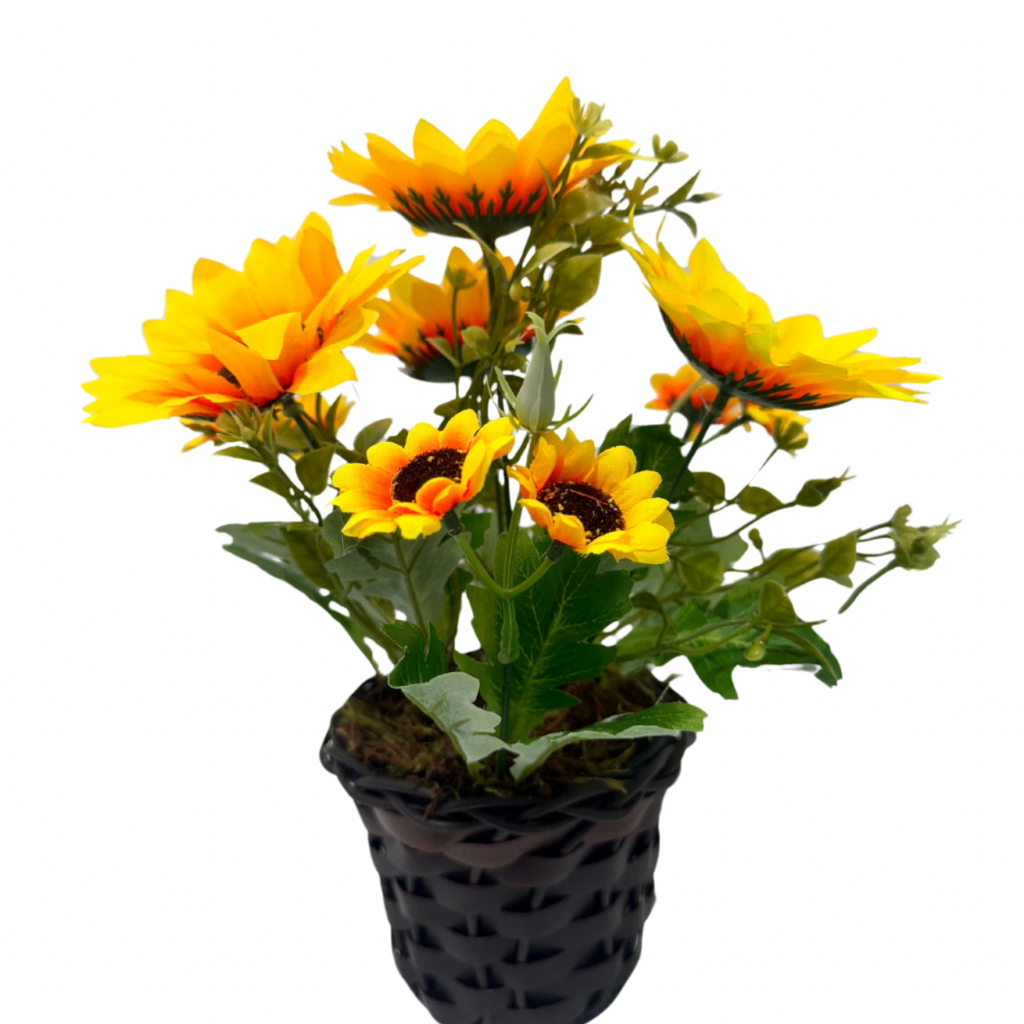 Arranjos para Cozinhas: Onde Comprar | BuscaProdutos