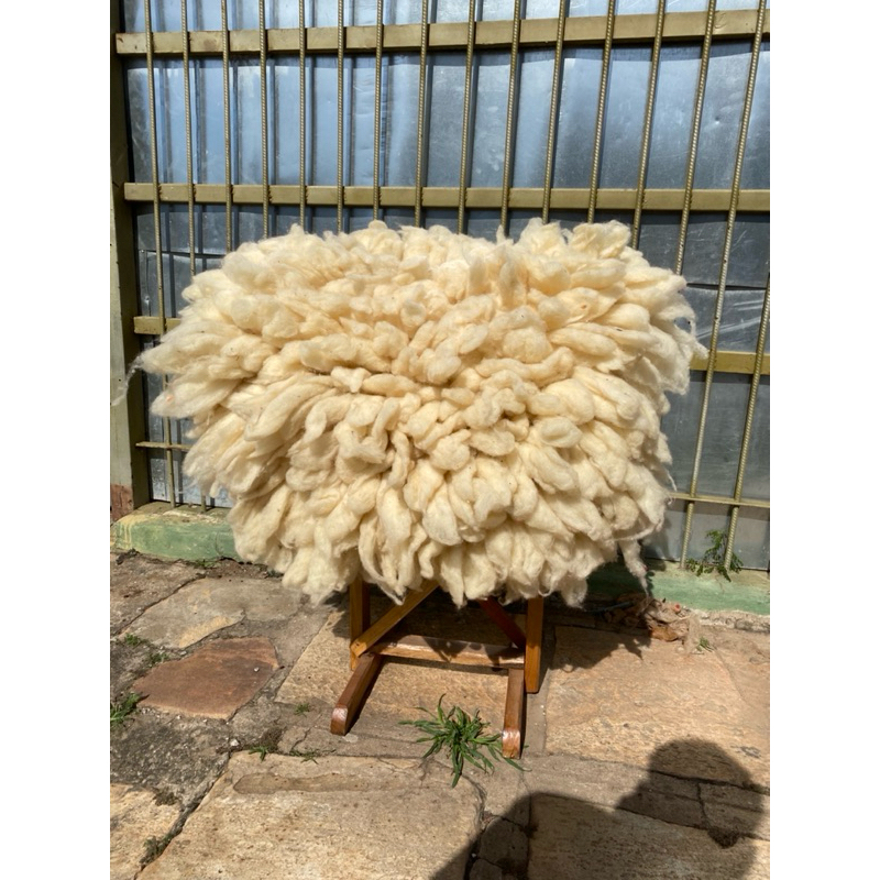 Cochonilho Coqueiro Cochinil Coxinil Pelego de Lã Branco Grande em Oferta na Shopee