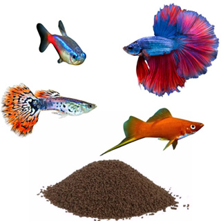 Ração Para Peixes Betta Guppy Lebiste Espada 0,8mm Inicial Alevinos 45% Proteínas em Oferta na Shopee
