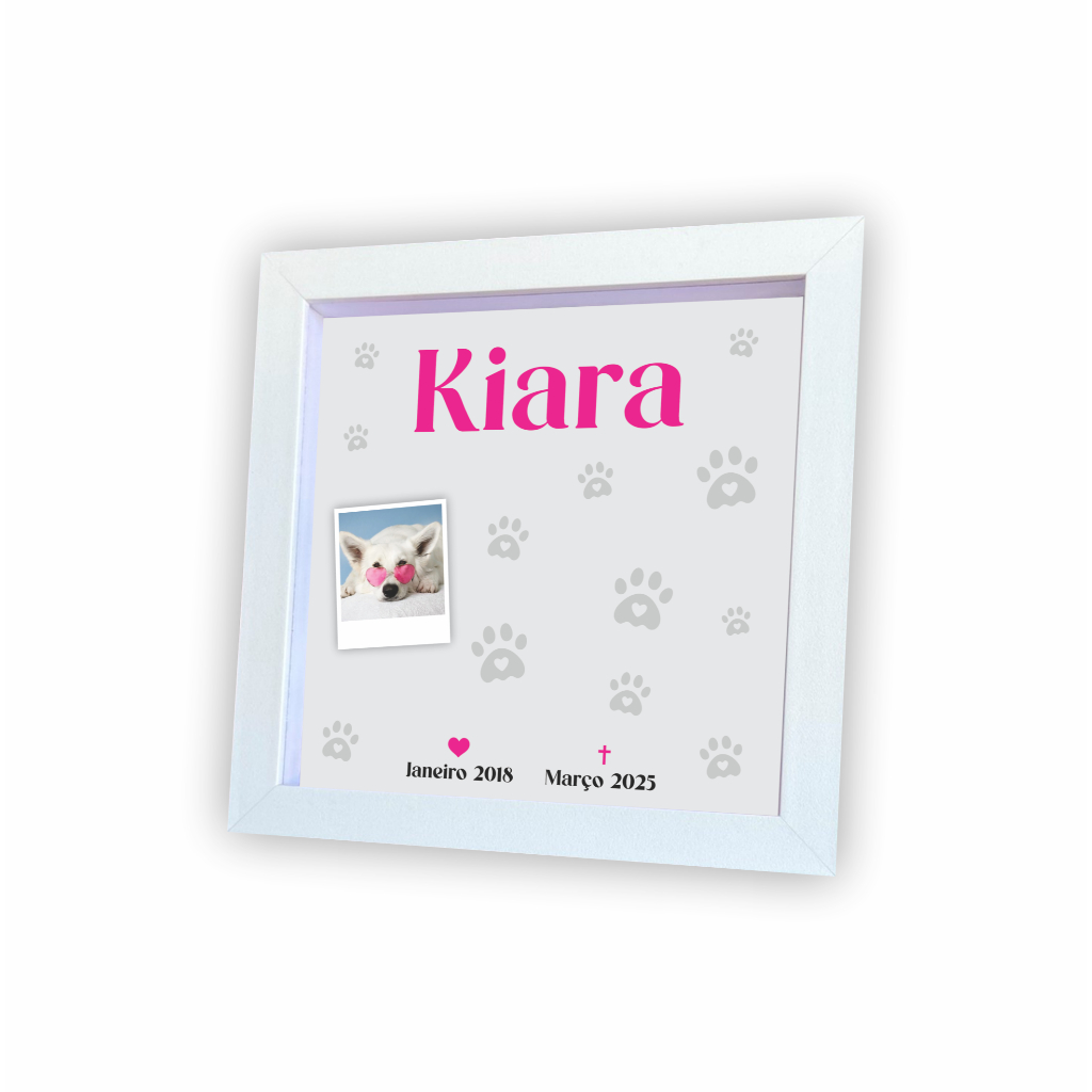 Quadro Eternização Personalizado Objetos PET - Eternizar Animal Gato Cachorro Memoria Caixa Alta 23x23cm Com Vidro