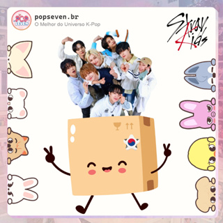 Kit Fã Stray Kids - STAY's - Itens Surpresa - Kpop Fankit - Fanmade - dominATE em Oferta na Shopee