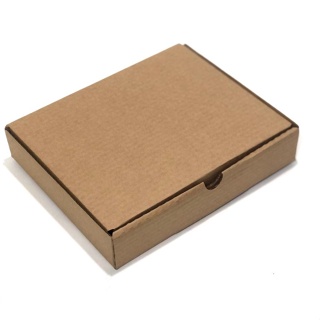 100 Caixas de Papelão 23x20x03cm Encomenda Envio Correios Transporte Pac Sedex em Oferta na Shopee