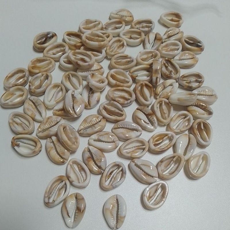 Entremeio Búzios para fazer pulseiras colar Com 20 Unidades Vl 7,99