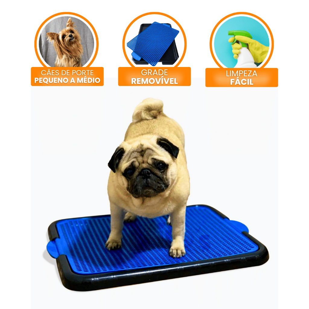 Tapete Sanitário Canino Higiênico Educa Pet Tapete Lavável Banheiro Pet