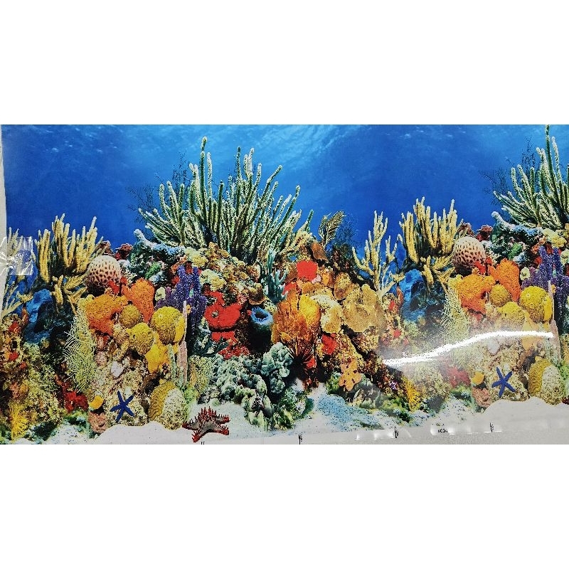 Painel Para Aquário Decorativo 50x40cm De Plástico e Lados Água Doce/ Salgado Paisagem Dupla