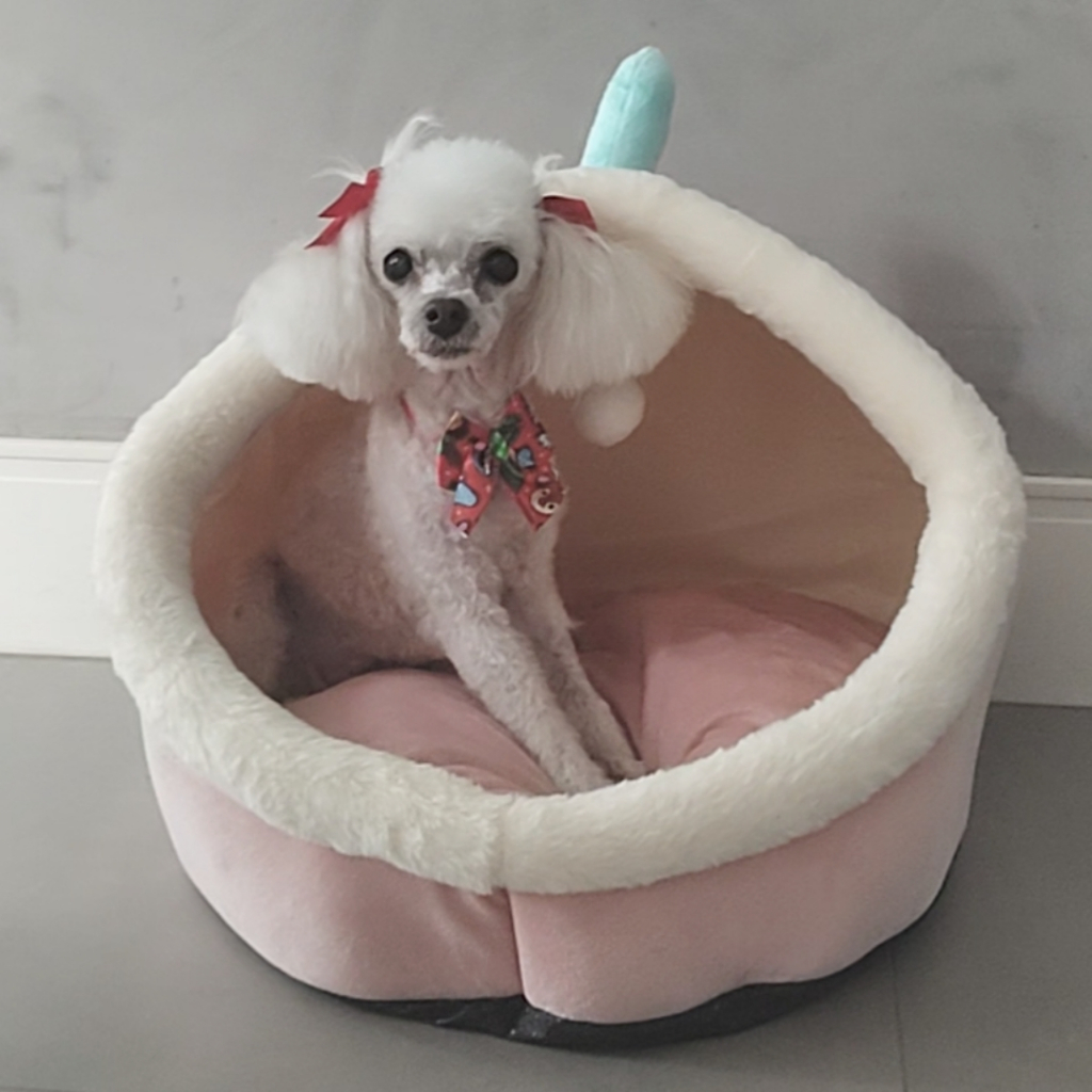 Casinha Rosa Grande Cães Gatos Cama Macia Iglu Pet Toquinha
