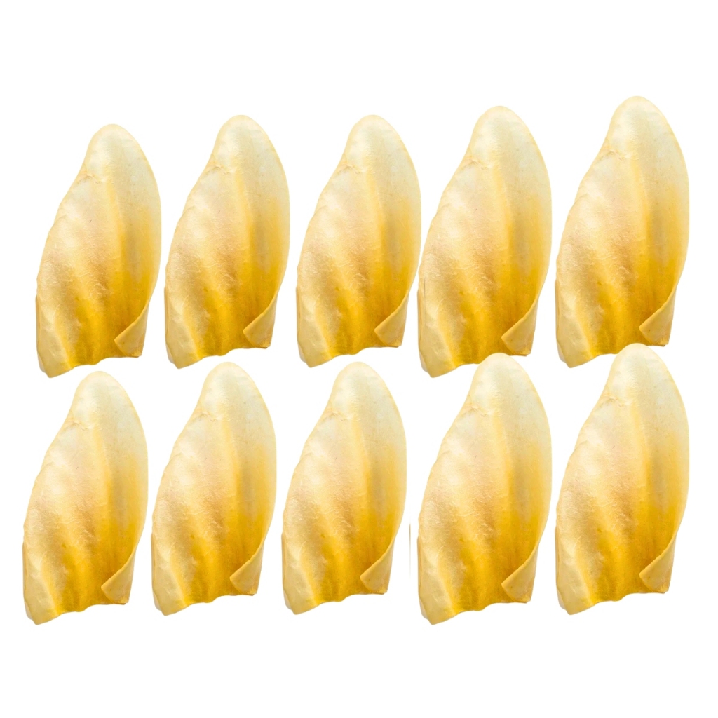 Kit Pacote com 10 Orelhas Bovina Mordedor Desidratado Natural DIP DOG