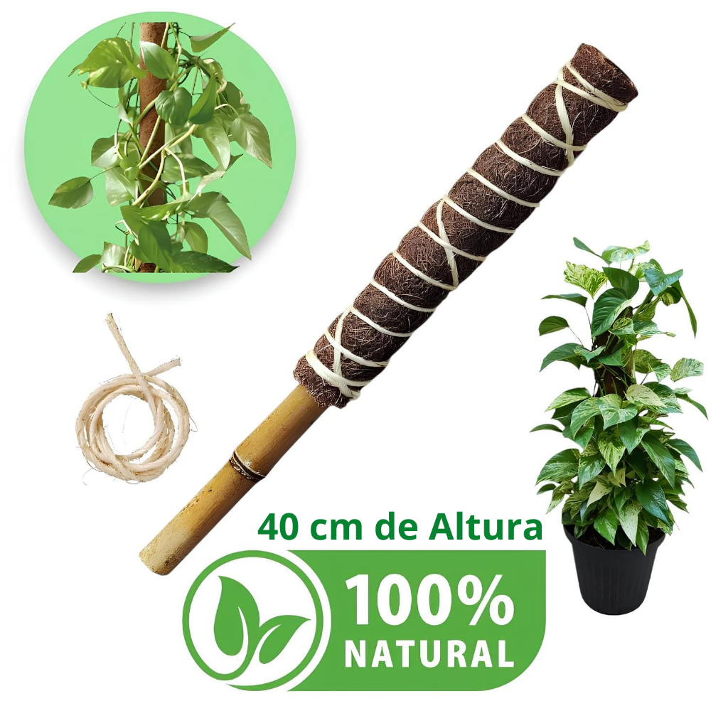 Estaca Bastão Tutor Fibra De Coco Bambu Planta Trepadeira em Oferta na Shopee