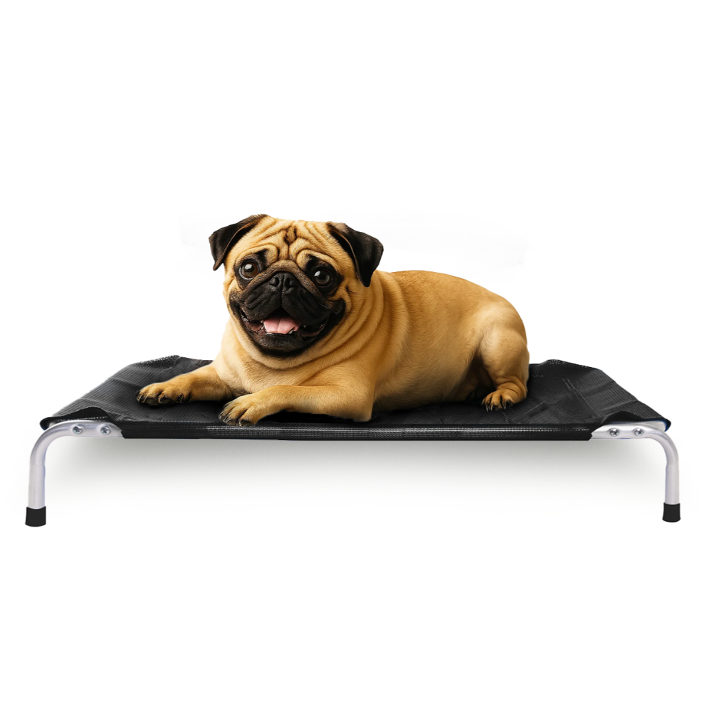 Cama De Cachorro Mec Dreams Tamanho M Preta Mec G