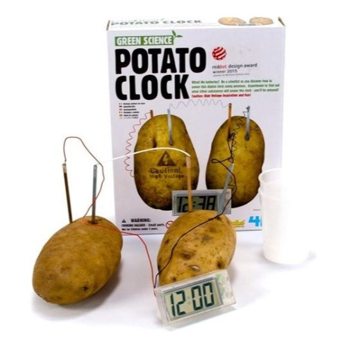 relógio batata brinquedo ecologico experiência científica 4m
