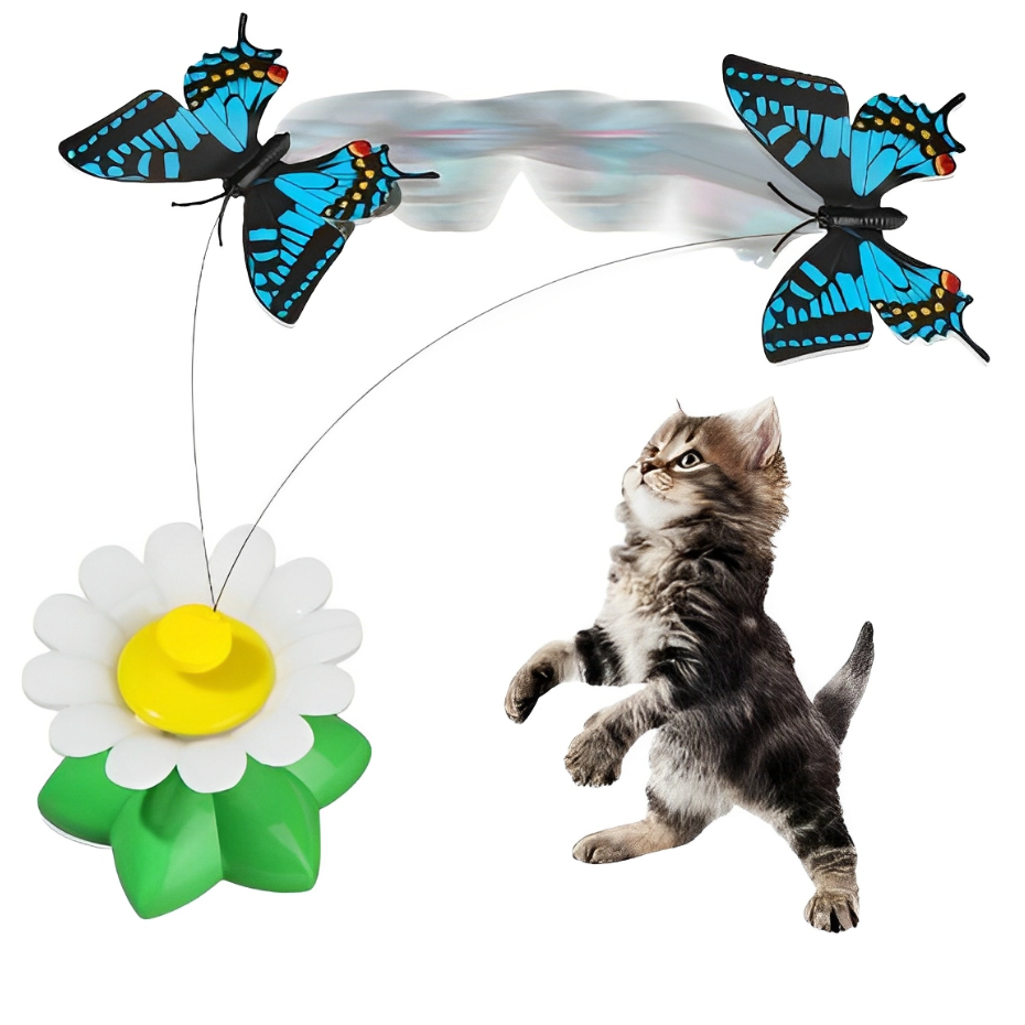 Brinquedos Para Gato Interativo Borboleta Gira Gira Elétrico Automático Kit Com Varias Opções