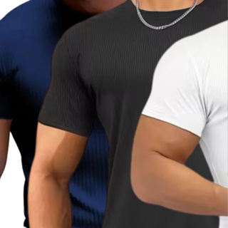 Kit 3 camisa canelada basica  slim tipo americano em Oferta na Shopee