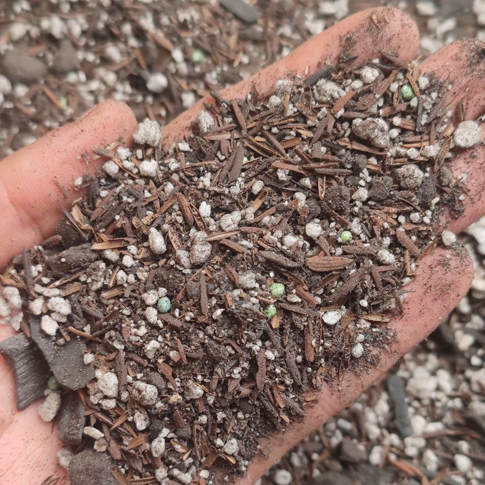 Substrato para Cactos Suculentas Rosas do Deserto Pacha PRO com Adubo de Liberação Lenta em Oferta na Shopee