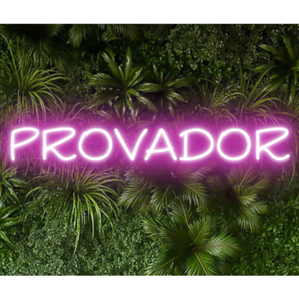 Placa Decorativa LED Neon – "Provador" – 70x20 cm