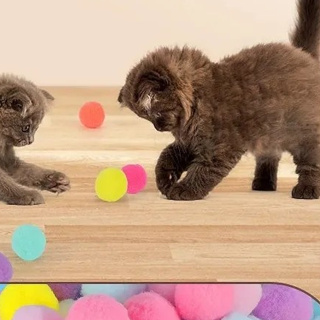 Brinquedos Gato Interativos De Lançamento Para Gatos De Estimação De Tiro Com Pistola De Pelúcia em Oferta na Shopee