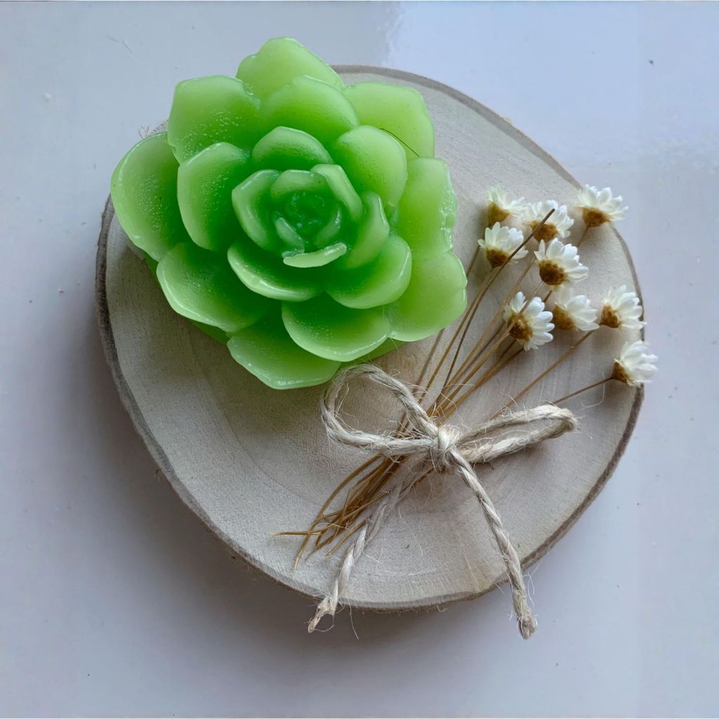 Bolacha de madeira com suculenta vela lembrancinhas casamento aniversario