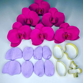 Kit cortador e frisador orquidea phalaenopsis grande em Oferta na Shopee