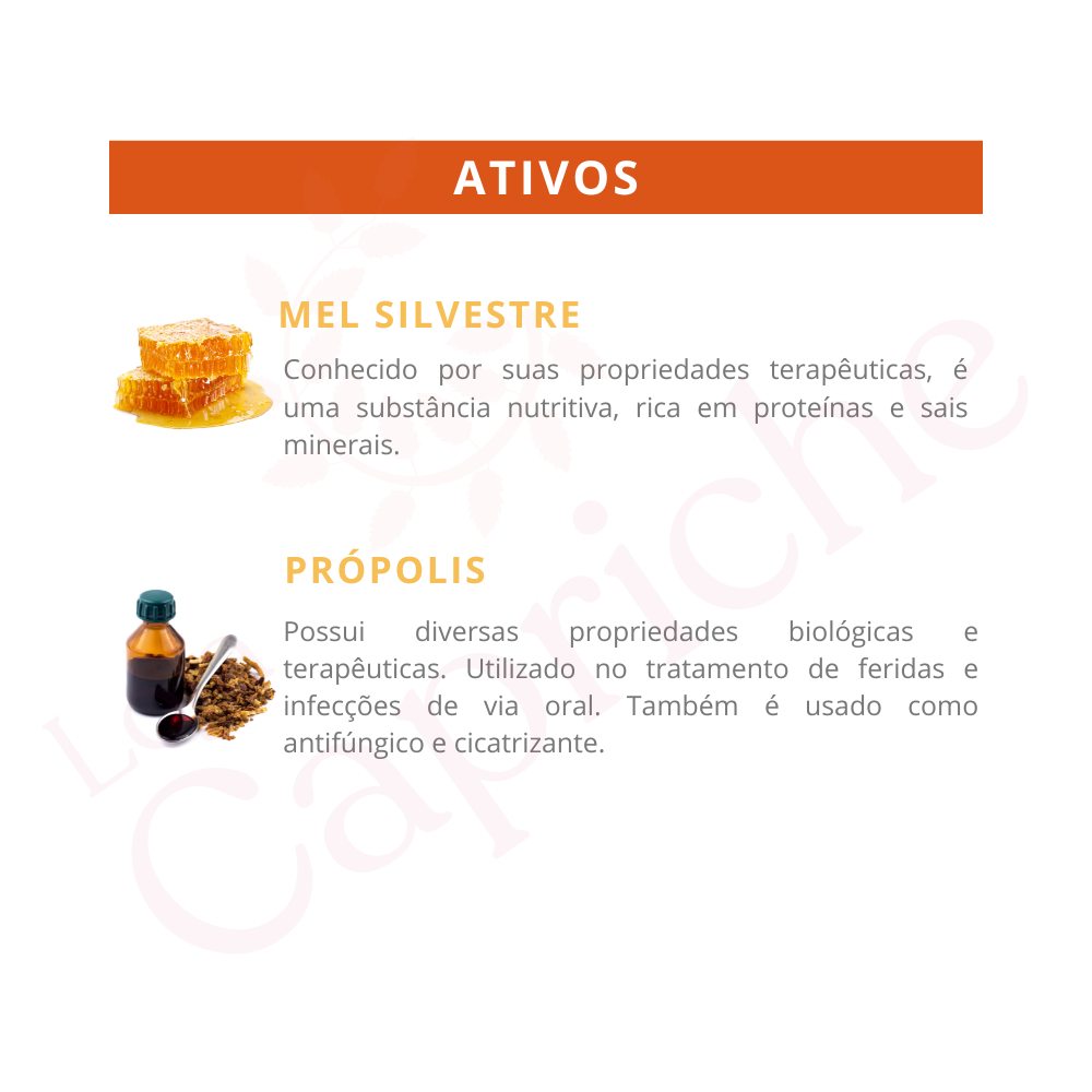 Pomada Botica Propomel 30g Bio Extratus Própolis e Mel