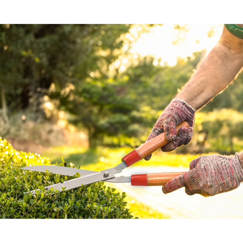 Tesoura de Poda Grama Jardim Cerca Viva Tesourão Jardinagem