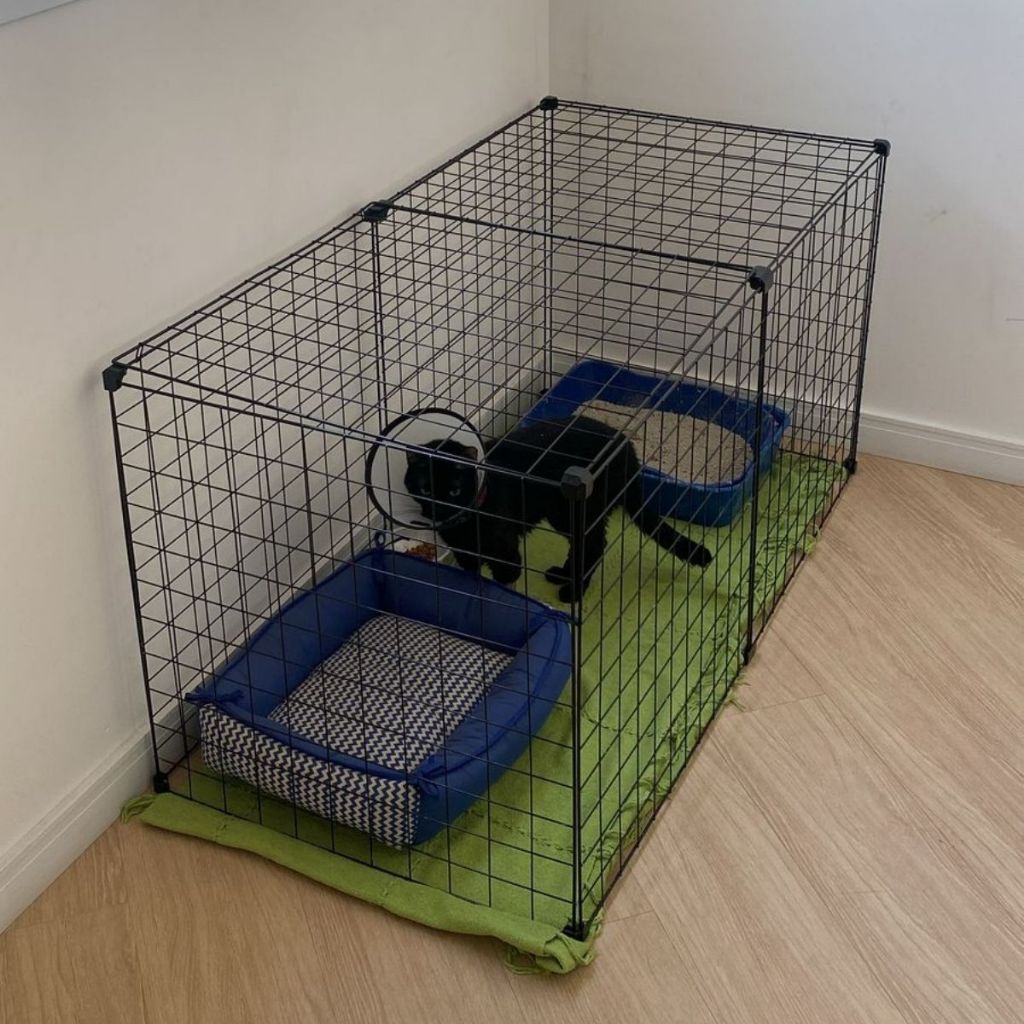 Gaiola de tratamento grande para gatos Cercado para coelhos com teto ou fundo - 60x1.20