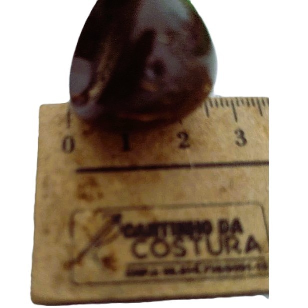 Detalhes do Coité pingente coco envernizado para guia de umbanda Candomblé baianos