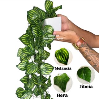 Kit Completo: Hera Jiboia ou Melancia 3 Pendente no Vaso Branco quadrado G Moderno em Oferta na Shopee