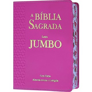 Bíblia Sagrada Letra Jumbo com Harpa Feminina Florida Pink em Oferta na Shopee
