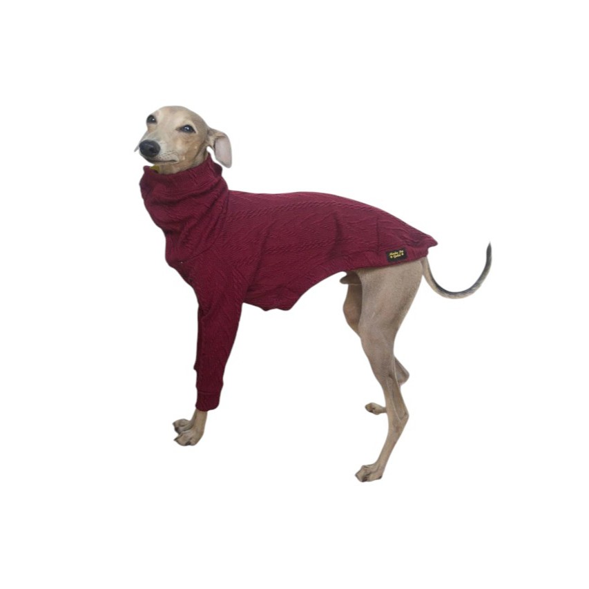 Roupa de lã para cachorro galgo italiano e whippet  com manga -SOB MEDIDA- em Oferta na Shopee
