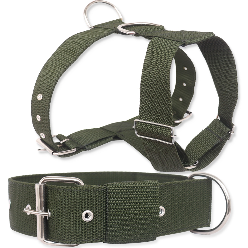 kit Coleira + Peitoral Verde Escuro Para Cães Adestramento Pequeno Médio Grande Porte Melhor Preço