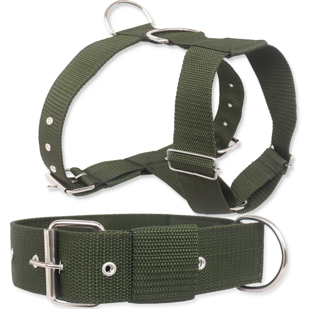 Kit Peitoral Coleira Cachorro Pastor Pitbull Golden Fita Dupla Pelo Menor Preço