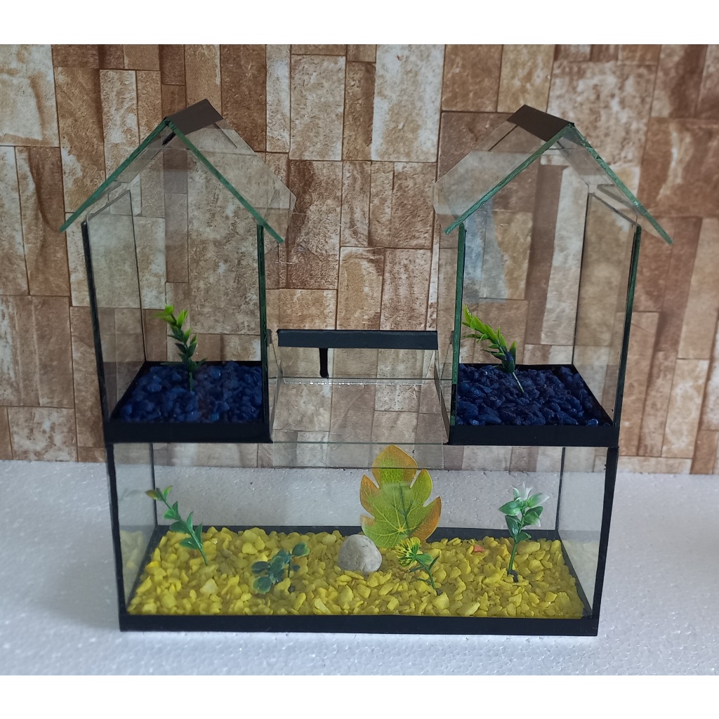 Aquario Beteira Castelo III Tripla 3 Compartimentos Peixe Betta Decorado em Oferta na Shopee