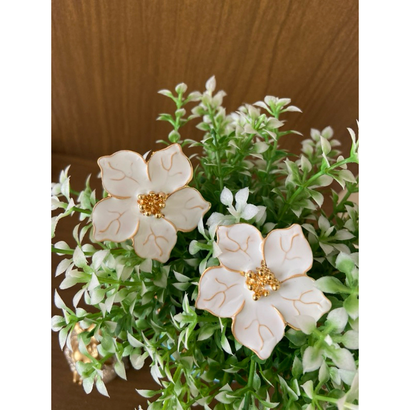 Brincos Esmaltados Atacado: Onde Comprar | BuscaProdutos