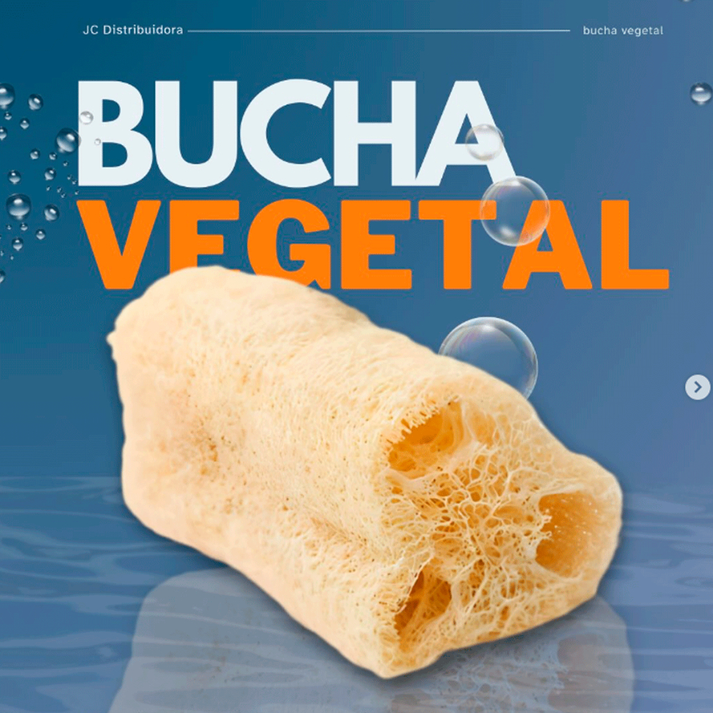 5 Esponja Bucha Vegetal Natural Banho Esfoliação