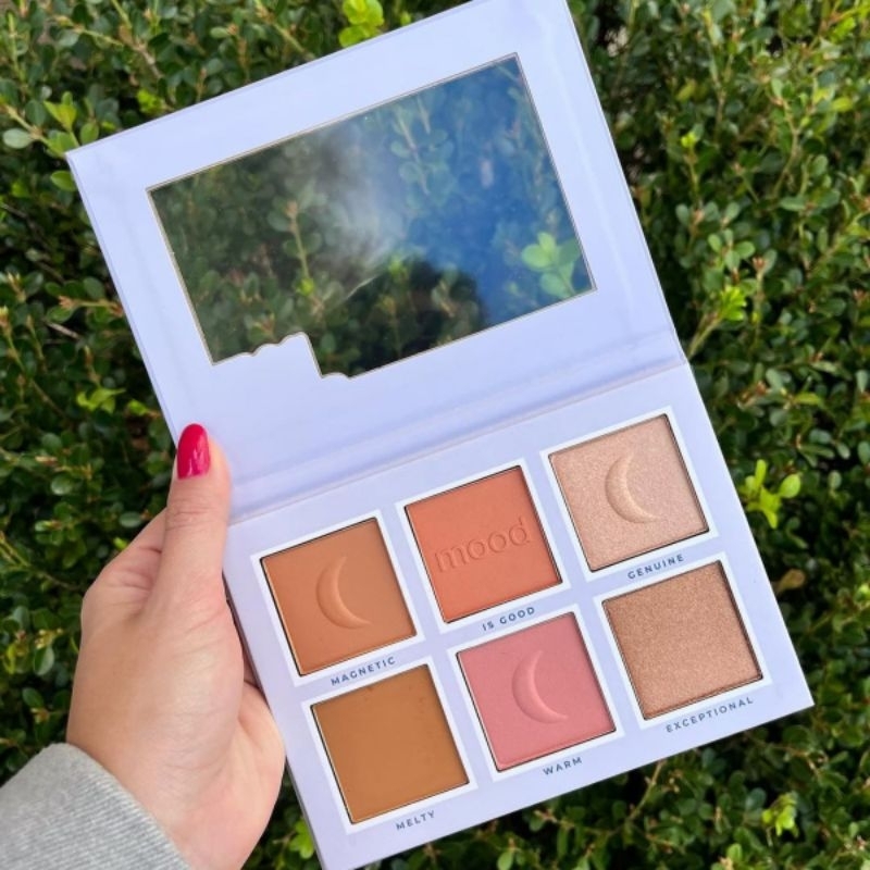 Paleta Pó Blush Iluminador Multifuncional Feels Mood Ruby Rose
