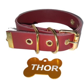 Coleira Pet de Couro com Detalhes Dourados – Gravação Nome e Telefone na Plaquinha em Oferta na Shopee
