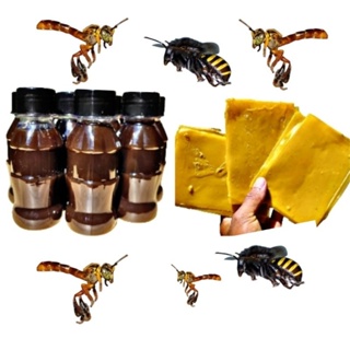 Atrativo misto para Abelha sem ferrão 100ml,Jatai,Tubuna,Mandaçaia+Cera mista de brinde em Oferta na Shopee