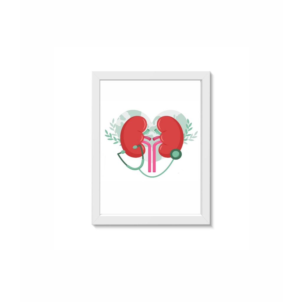 Quadro Decorativo Sistema Urinário Nefrologia UrologiaConsultório Clínica Moldura 30x40cm Madeira Vidro Cor Branca