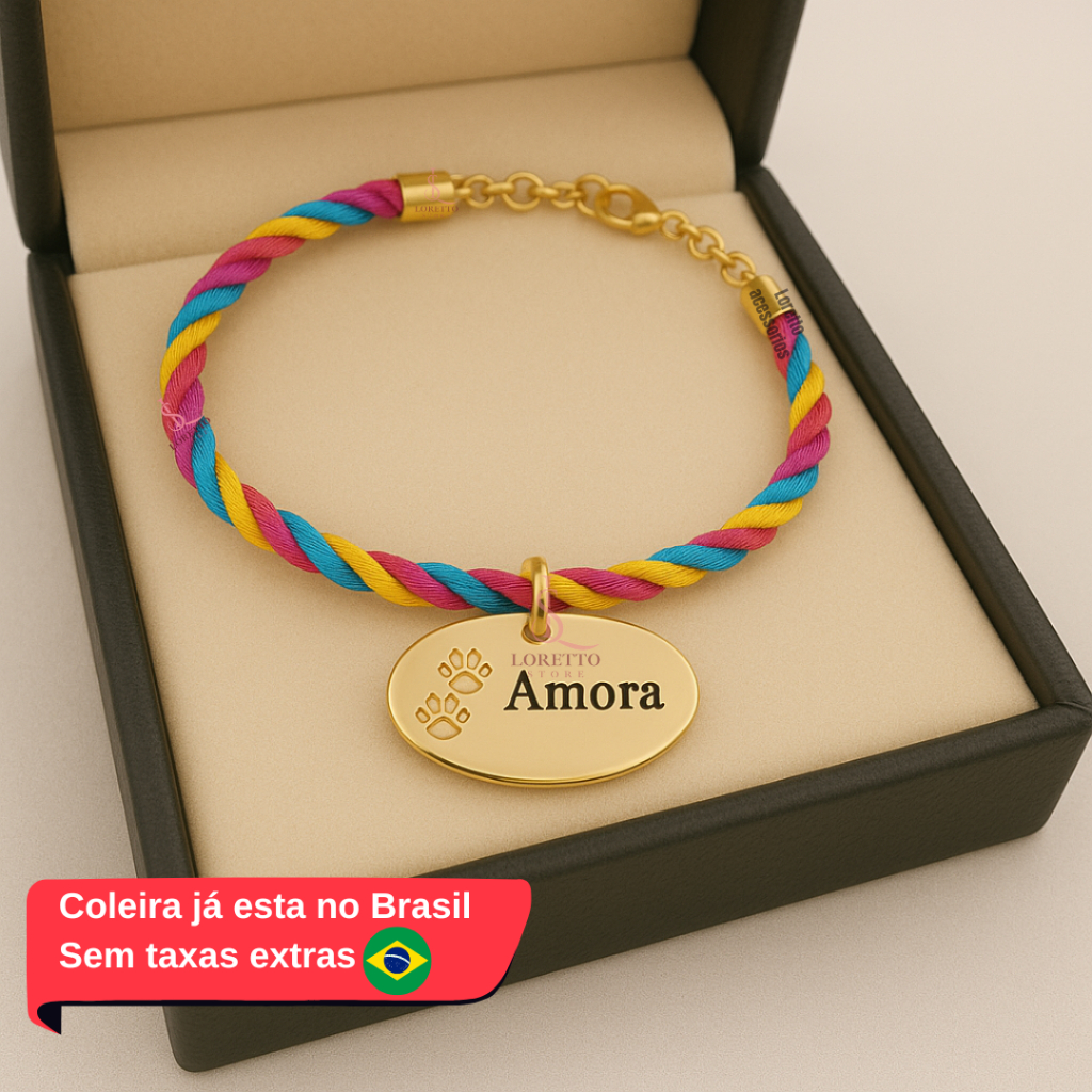 Coleira de cachorro com nome pingente Gravado a Laser Personalizado DA3