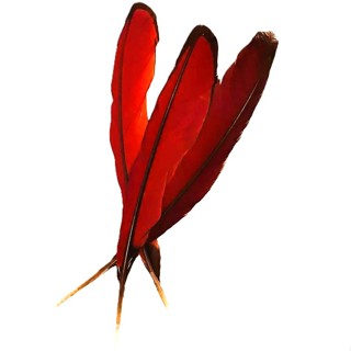 Pena Aluko / Aloko – Iye Aluko | Sorte, Riqueza e Proteção | Umbanda Candomblé Ifá em Oferta na Shopee