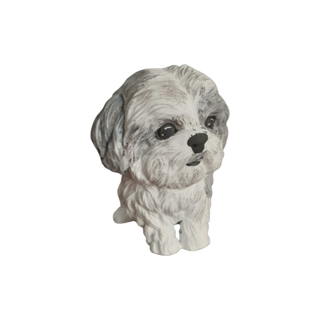 Shih Tzu Cinza: Guia Completo e Onde Comprar | BuscaProdutos