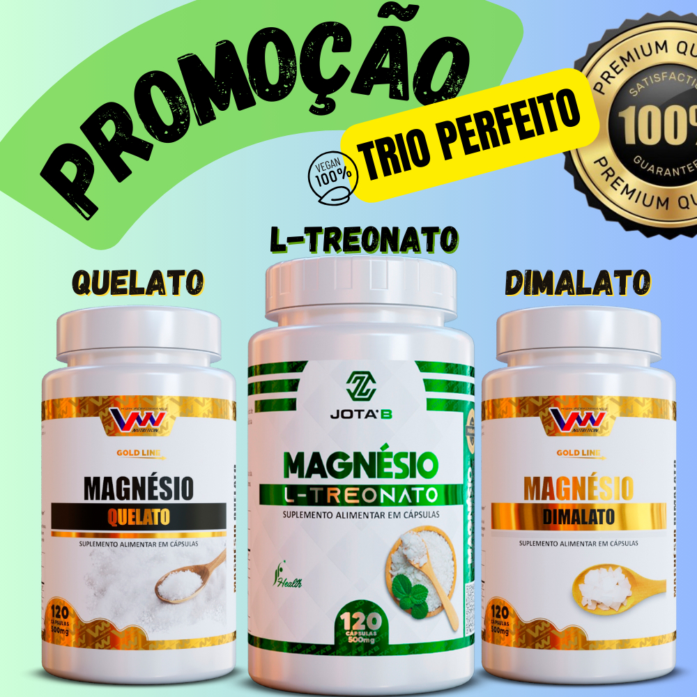 Suplementos Premium Magnésios Quelato L-Treonato Dimalato 500mg Memória Foco Estresse Performance