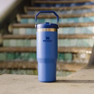Garrafa Térmica Inox 900ml Premium Copo com Tampa, Alça e Canudo, Varias Cores Academia, H...