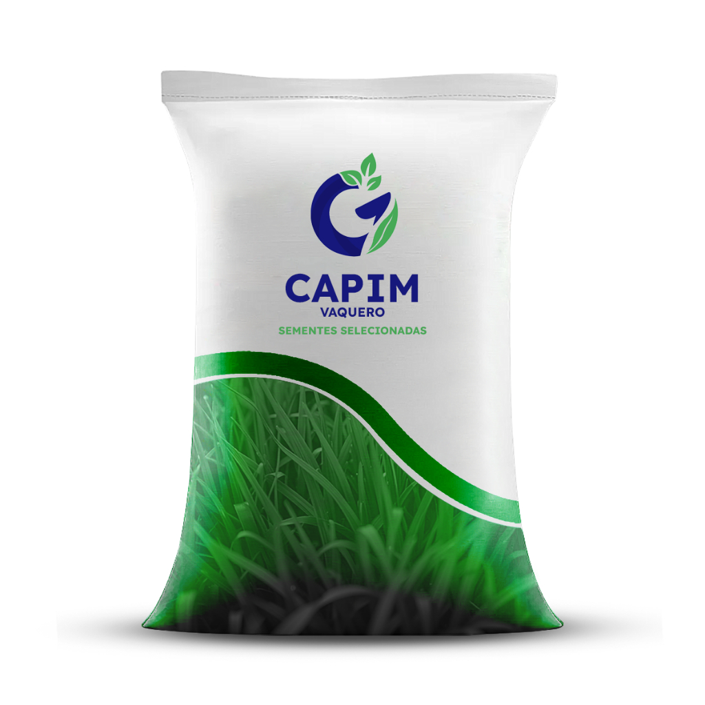1kg Sementes De Capim Vaquero 80% Bermudagrass + 20% CD