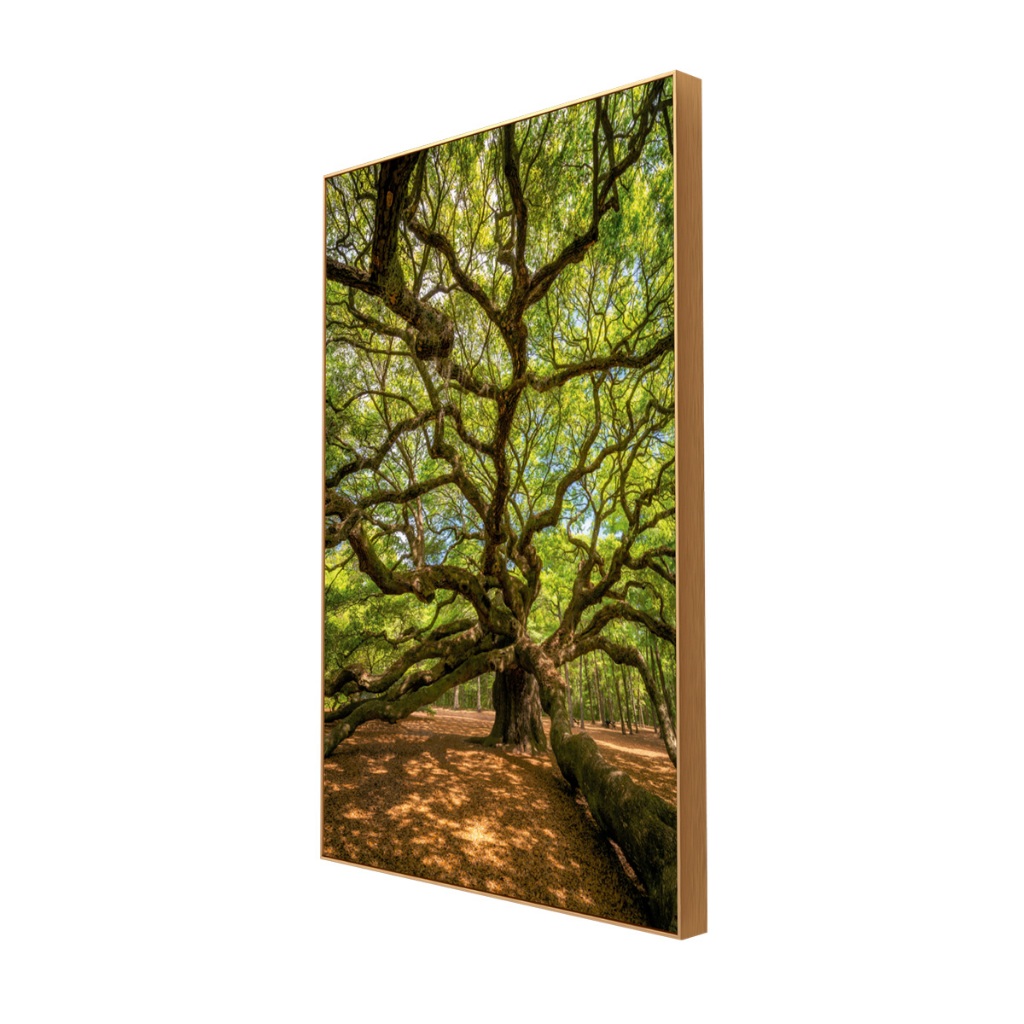 Quadro Decoração Sala Moldura Grande Moderno Natureza Árvore da Vida